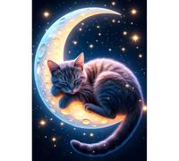 DPHERO Moon Diamond Painting Kits for Beginners Adults,5D DIY Starry Night Diamond Art Kits,Round Full Drill Sleeping Cat Gem Art Crafts,DIY Dreamland Painting by Numbers for Home Wall Decor 12x16 in