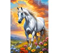 DPHERO White Horse Diamond Painting Kits for Beginners Adults,5D DIY Wildflowers Diamond Art Kits,Round Full Drill Sunset Landscape Art Crafts,DIY Painting by Numbers for Home Wall Decor 12x16 inch