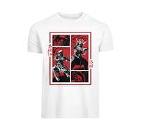 DPI Merchandising GmbH Assassin's Creed Unisex's Panels Undershirt, Multicoloured, L