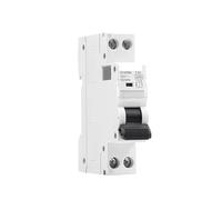 DPN MCB 1P+N 6A 10A 16A 20A 25A 32A 40A 220V AC Circuit Breaker 6KA C Curve B Curve Din Rail 6KA MCB RUAJOGYNVM(C Curve,16A)