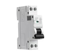 DPN MCB 1P+N 6A 10A 16A 20A 25A 32A 40A 220V AC Mini Circuit Breaker 6KA C Curve B 1Pcs(40A,C Curve)