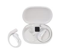 Dpofirs AI Language Translator Earbuds, 144 Languages HiFi Wireless Real Time Translation Earbuds with Noise Canceling Mic for Travel Business Learning (Silver)