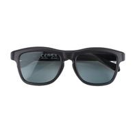 Dpofirs AI Translation Smart Glasses with for Men Women, 100+ Language, Sunglasses for Travel Meeting Business, AI Meeting Notes, Color Change Lens