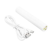 Dpofirs Small Nail Pen Lamp Upgraded 60S Quick Dry Nail Light Pen USB Charger Dryer Light for Manicure Techniques 3 Chips