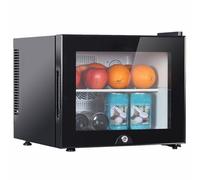 DPQYJPP Tabletop Mini Cooler | 20L/30L/40L Upright Single-Door Cooler 20L