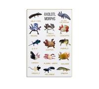 DPURPIWADY Axolotl Poster Animal Science Decor, Regenerative Salamander Wall Art Print, Educational Biology Chart of Axolotl Morphs for Classroom, Home Office, Laboratory(Framed,08x12inch(20x30cm))