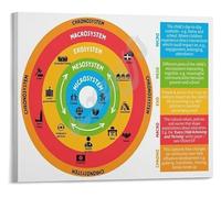 DPURPIWADY Ecological Systems Theory Bronfenbrenner Model Advanced Psychology Poster for Graduate Studies Research(Framed,16x24inch(40x60cm))
