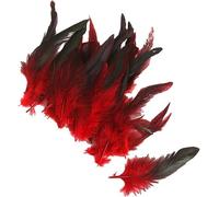 DPWOUM 50 Feather Nature Carnival Halloween Costume, Red Handicrafts