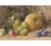 DQCJIYIGL Famous Art Print Artwork Artwork Paintings Fruit' by William Henry Hunt Canvas Wall Art for Home Decor 60x90cm