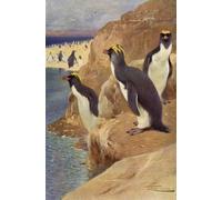 DQCJIYIGL Famous Art Print Artwork Artwork Paintings Rock Penguin by After Wilhelm Kuhnert Canvas Wall Art for Home Decor 60x90cm