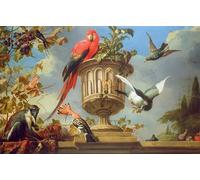 DQCJIYIGL Famous Art Print Artwork Artwork Paintings Scarlet Macaw Perched on an Urn with Other Birds by Melchior De Hondecoeter Canvas Wall Art for Home Decor 60x90cm
