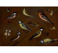 DQCJIYIGL Famous Art Print Artwork Artwork Paintings Still Life of Birds Including a Marsh Tit by Orsola Maddalena Caccia Canvas Wall Art for Home Decor 60x90cm