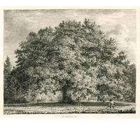 DQCJIYIGL Famous Art Print Artwork Artwork Paintings the Chandos Oak Michendon House Southgate London by Jacob George Strutt Canvas Wall Art for Home Decor 60x90cm