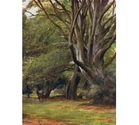DQCJIYIGL Famous Art Print Artwork Artwork Paintings the New Forest Penerley Woods by Walter Frederick Roofe Tyndale Canvas Wall Art for Home Decor 60x90cm