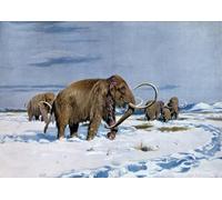 DQCJIYIGL Famous Art Print Artwork Artwork Paintings Troop of Mammoths in the Ice Age by Wilhelm Kuhnert Canvas Wall Art for Home Decor 60x90cm