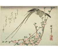 DQCJIYIGL Famous Canvas Artwork Poster Artworks Long-tailed Bird and Peach Blossoms by Utagawa Hiroshige Poster Print for Home Decor 60x90cm