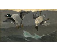 DQCJIYIGL Famous Canvas Artwork Poster Artworks Right Left by Winslow Homer Poster Print for Home Decor 60x90cm