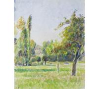DQCJIYIGL Famous Canvas Artwork Poster Artworks Study of the Orchard of the Artist's House At Eragny-sur-epte by Camille Jacob Pissarro Poster Print for Home Decor 60x90cm