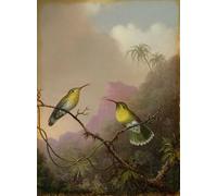 DQCJIYIGL Famous Canvas Artwork Poster Artworks Two Hummingbirds by Martins Johnson Heade Poster Print for Home Decor 60x90cm