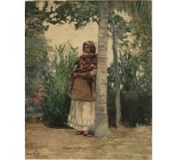 DQCJIYIGL Famous Canvas Artwork Poster Artworks Under a Palm Tree by Winslow Homer Poster Print for Home Decor 60x90cm