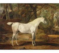 DQCJIYIGL Famous Canvas Prints Portrait Classic Wall Decor a Grey Arabian Stallion the Property of Sir Watkin Williams by Famous Artist Abstract Painting for Home Decor 60x90cm