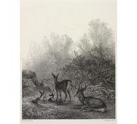 DQCJIYIGL Famous Canvas Prints Portrait Classic Wall Decor Deer At Rest by Karl Bodmer Abstract Painting for Home Decor 60x90cm