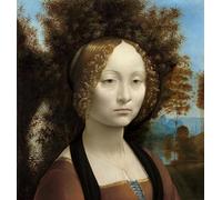 DQCJIYIGL Famous Canvas Prints Portrait Classic Wall Decor Ginevra De' Benci by Leonardo Da Vinci Abstract Painting for Home Decor 60x90cm