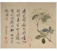 DQCJIYIGL Famous Canvas Prints Portrait Classic Wall Decor Hydrangeas From an Album of Ten Leaves by Yun Shouping Abstract Painting for Home Decor 60x90cm