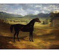 DQCJIYIGL Famous Canvas Prints Portrait Classic Wall Decor Jack Spigot a Dark Bay Racehorse in a Paddock At Bolton Hall by Frederick Herring Senior Abstract Painting for Home Decor 60x90cm