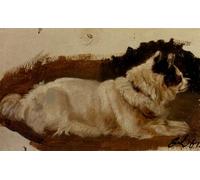 DQCJIYIGL Famous Canvas Prints Portrait Classic Wall Decor Study of a Chow by Sir Edwin Henry Landseer Abstract Painting for Home Decor 60x90cm