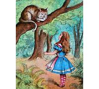 DQCJIYIGL Famous Painting Art Print Images Modern Canvas Prints Alice and the Cheshire Cat by Tenniel Oil Painting for Home Decor 60x90cm
