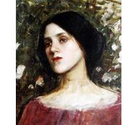 DQCJIYIGL Famous Painting Art Print Images Modern Canvas Prints Head of a Young Girl to the Left by John William Waterhouse Oil Painting for Home Decor 60x90cm