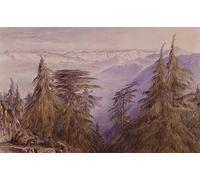 DQCJIYIGL Famous Painting Art Print Images Modern Canvas Prints Monkeys on a Crag Near Simla North India by Edward Leaars Oil Painting for Home Decor 60x90cm