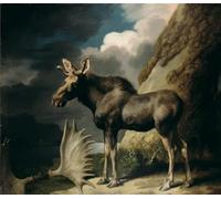 DQCJIYIGL Famous Painting Art Print Images Modern Canvas Prints Moose by George Stubbs Oil Painting for Home Decor 60x90cm
