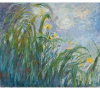 DQCJIYIGL Famous Painting Art Print Images Modern Canvas Prints the Yellow Iris by Claude Monet Oil Painting for Home Decor 60x90cm