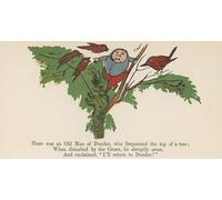 DQCJIYIGL Famous Painting Art Print Images Modern Canvas Prints There Was an Old Man Dundee Who Frequented a Tree by Edward Leaars Oil Painting for Home Decor 60x90cm