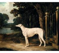DQCJIYIGL Famous Painting Art Print Images Modern Canvas Prints Vandeau a White Greyhound by John Frederick Herring Snr Oil Painting for Home Decor 60x90cm