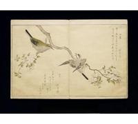 DQCJIYIGL Famous Painting Wall Art Posters Posters And Prints a Bough on the Right and a Bush Warbler on a Branch on the Left by Kitagawa Utamaro Mural Artwork for Home Decor 60x90cm