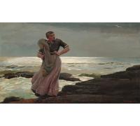 DQCJIYIGL Famous Painting Wall Art Posters Posters And Prints a Light on the Sea by Winslow Homer Mural Artwork for Home Decor 60x90cm