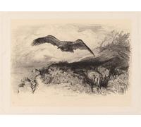 DQCJIYIGL Famous Painting Wall Art Posters Posters And Prints Bird in Flight by Karl Bodmer Mural Artwork for Home Decor 60x90cm