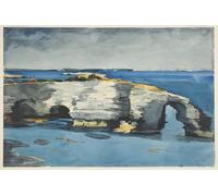 DQCJIYIGL Famous Painting Wall Art Posters Posters And Prints Coral Formation by Winslow Homer Mural Artwork for Home Decor 60x90cm