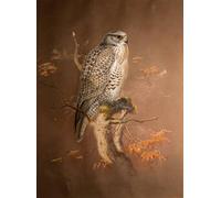 DQCJIYIGL Famous Painting Wall Art Posters Posters And Prints Iceland Falcon by Wolf Mural Artwork for Home Decor 60x90cm