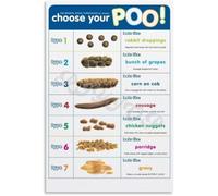 DQFOCPHHAA Stool Chart - Bristol Stool Classification for Digestive Health(Unframed,12x18inch(30x45cm))