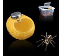 DQITJ 10 Pcs Silk Cocoons with Magnet Nest for Jumping Spider Silk Cocoon Spider Hide Jumping Spider Enclosure Accessories (Yellow)
