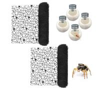 DQITJ 2 Pack Jumping Spider Netting Enclosure Large Size Climbing Webs with Magnets Silk Cocoons Nest for Tarantula Mantis Spoods invertebrates (Black, 9.8 x 177 inches)