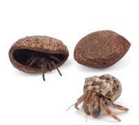 DQITJ 2 Pcs Tarantula Hide Hermit Crab Hideout Natural Nut Shell Decoration for Crab Spider Tarantula Small Insect (Small Size)