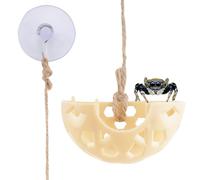 DQITJ Jumping Spider Hidden House Tarantula Enclosure Accessories with String and Suction Cup for Jumping Spider Tarantula Insect Praying Mantis