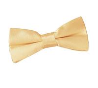 DQT Boys Plain Glossy Satin Pre-Tied Bow Tie - Wedding, Party & Formal - Pale Yellow