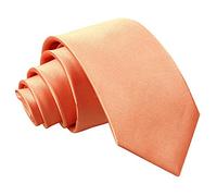 DQT Boys Plain Satin Wedding Formal Casual Communion Page Boy Classsic Neck Tie 7-12 Years Old - Coral