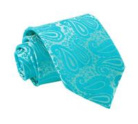 DQT Men Green Solid Plain Stripe Floral Paisley Polka Dot Tartan Neck Tie - Paisley Turquoise